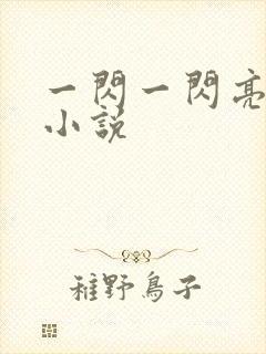 一闪一闪亮星星小说