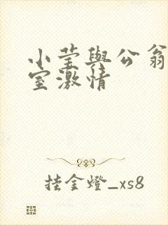 小莹与公翁办公室激情