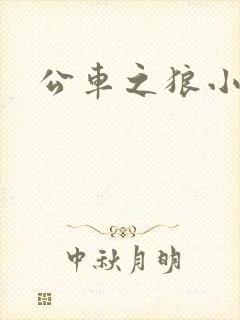 公车之狼小说封面