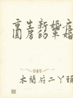 重生新婚夜正在圆房的军婚封面