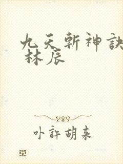 九天斩神诀林辰 林辰封面