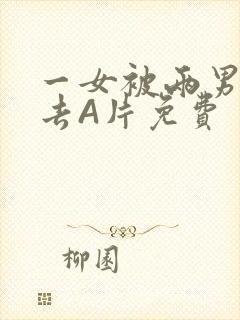 一女被两男桶进去A片免费