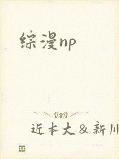 综漫np