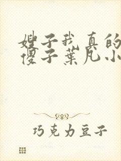 嫂子我真的不是傻子叶凡小说笔趣阁