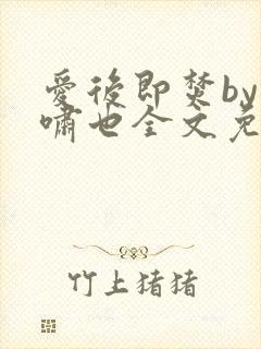 爱后即焚by林啸也全文免费阅读笔趣阁封面