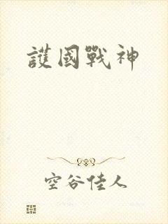 护国战神