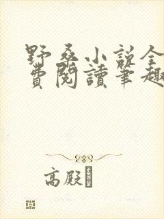 野桑小说全文免费阅读笔趣阁