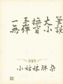 一手抚大笔趣阁无弹窗小说封面