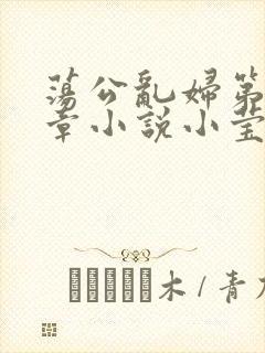 荡公乱妇第51章小说小莹封面