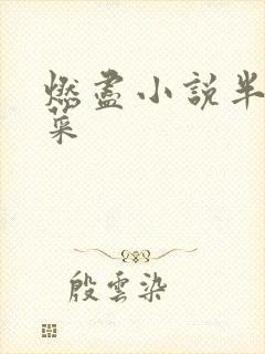 燃尽小说半截白菜