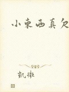 小东西真欠弄封面