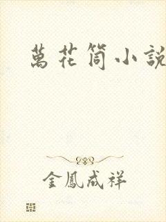 万花筒小说封面