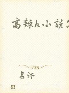 高辣h小说父女封面