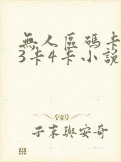 无人区码卡二卡3卡4卡小说封面