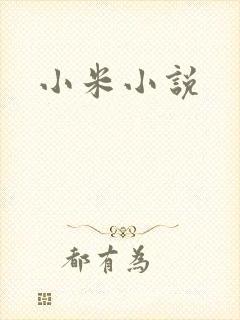 小米小说封面