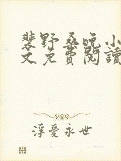 裴野桑晚小说全文免费阅读最新章节