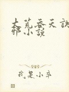 大荒吞天诀柳无邪小说封面