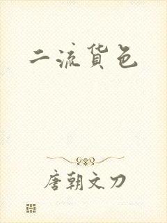 二流货色封面