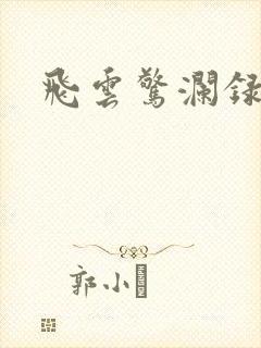 飞云惊澜录封面