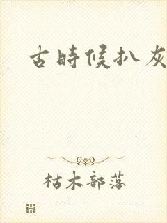 古时候扒灰小说