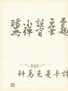 赌小说免费阅读无弹窗笔趣阁封面