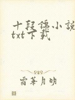 十段锦小说全本txt下载封面