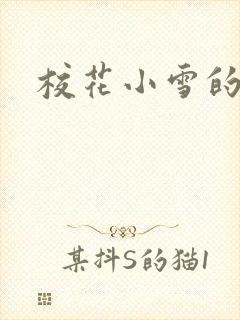 校花小雪的小说封面