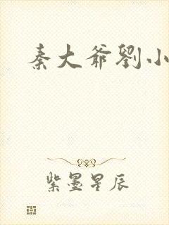 秦大爷刘小静封面