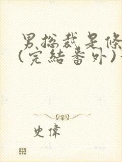 男总裁是条骚狗(完结番外)笔趣阁小说