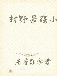 村野最强小农民封面