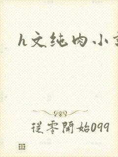 h文纯肉小说