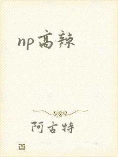 np高辣