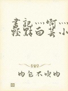 书记灬啊灬啊灬轻点白芸小说