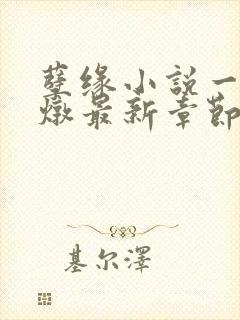 孽缘小说一家乱炖最新章节阅读