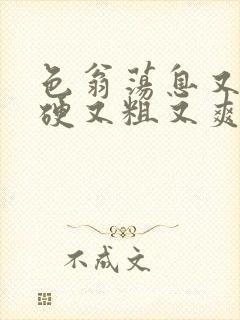 色翁荡息又大又硬又粗又爽