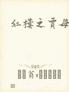 红楼之贾母封面