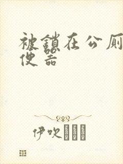 被锁在公厕当坐便器封面