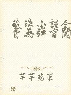 藏珠小说全文免费无弹窗阅读