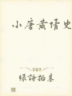 小唐黄倩史封面