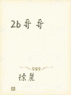 2b哥哥封面