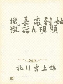 机长脔到她哭h粗话h视频