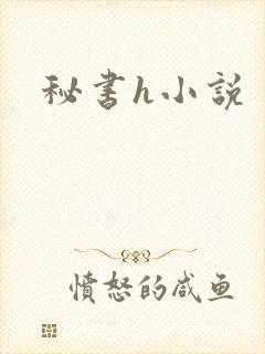 秘书h小说