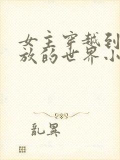 女主穿越到很开放的世界小说封面