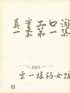 真实工口游戏第一季第一集在线观看