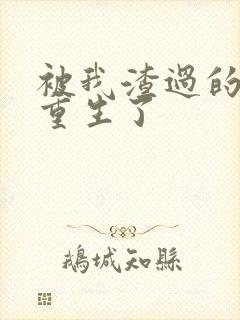 被我渣过的男主重生了