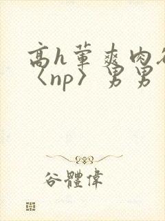 高h荤爽肉欲文〈np〉男男