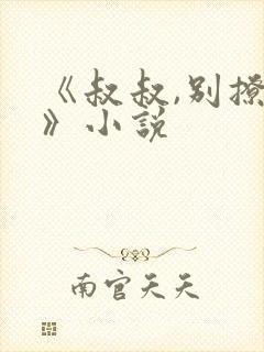 《叔叔,别撩我》小说