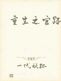 重生之官路风流封面