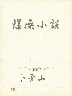 爆操小说