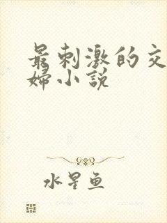 最刺激的交换夫妇小说